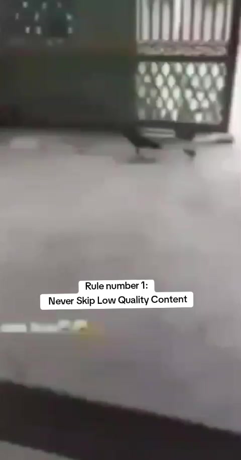 @Santae Tv