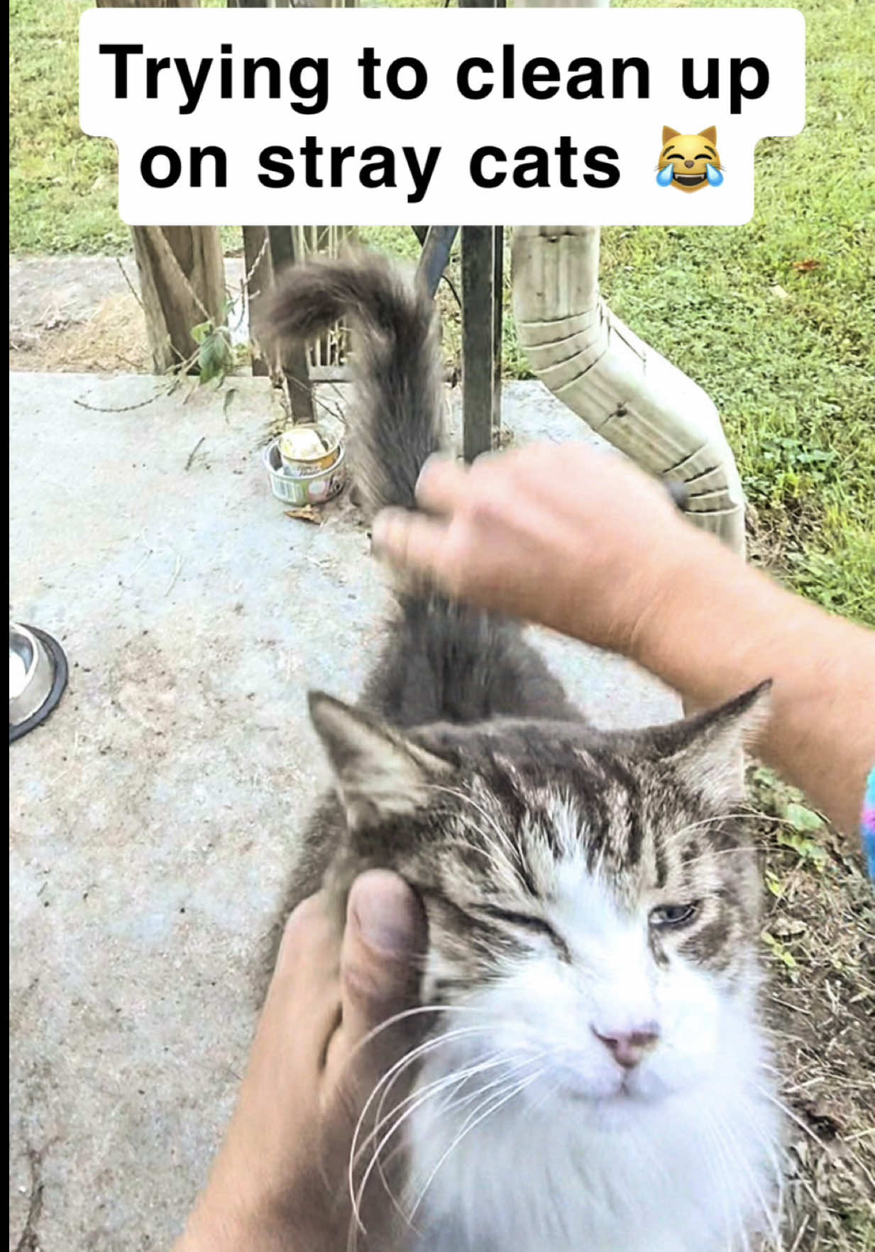 @first class whiskers