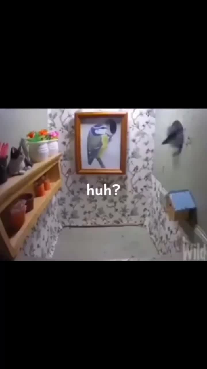 @Trifoliumgirl