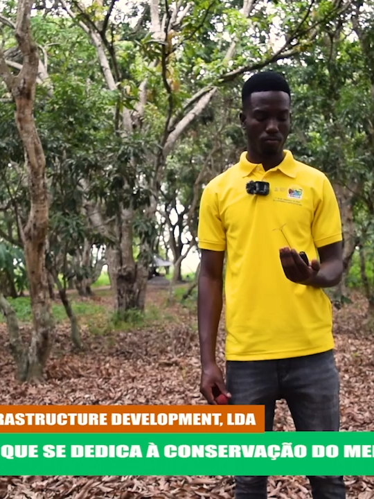 @xltvmoz