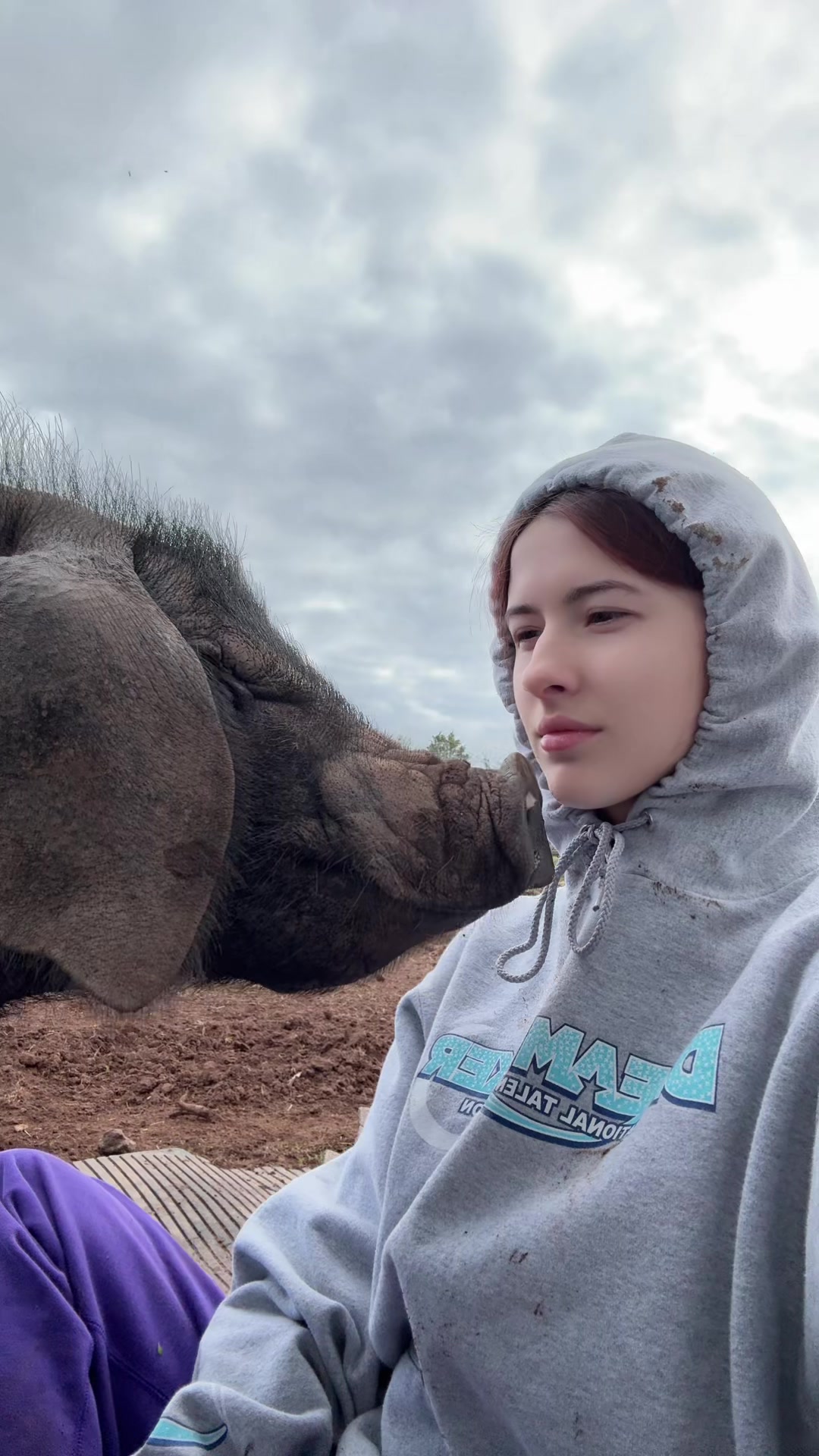 @Sofias snout life 🐽