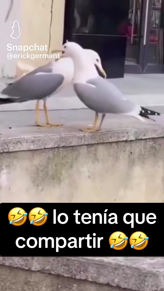 @Armida Luz Galeana