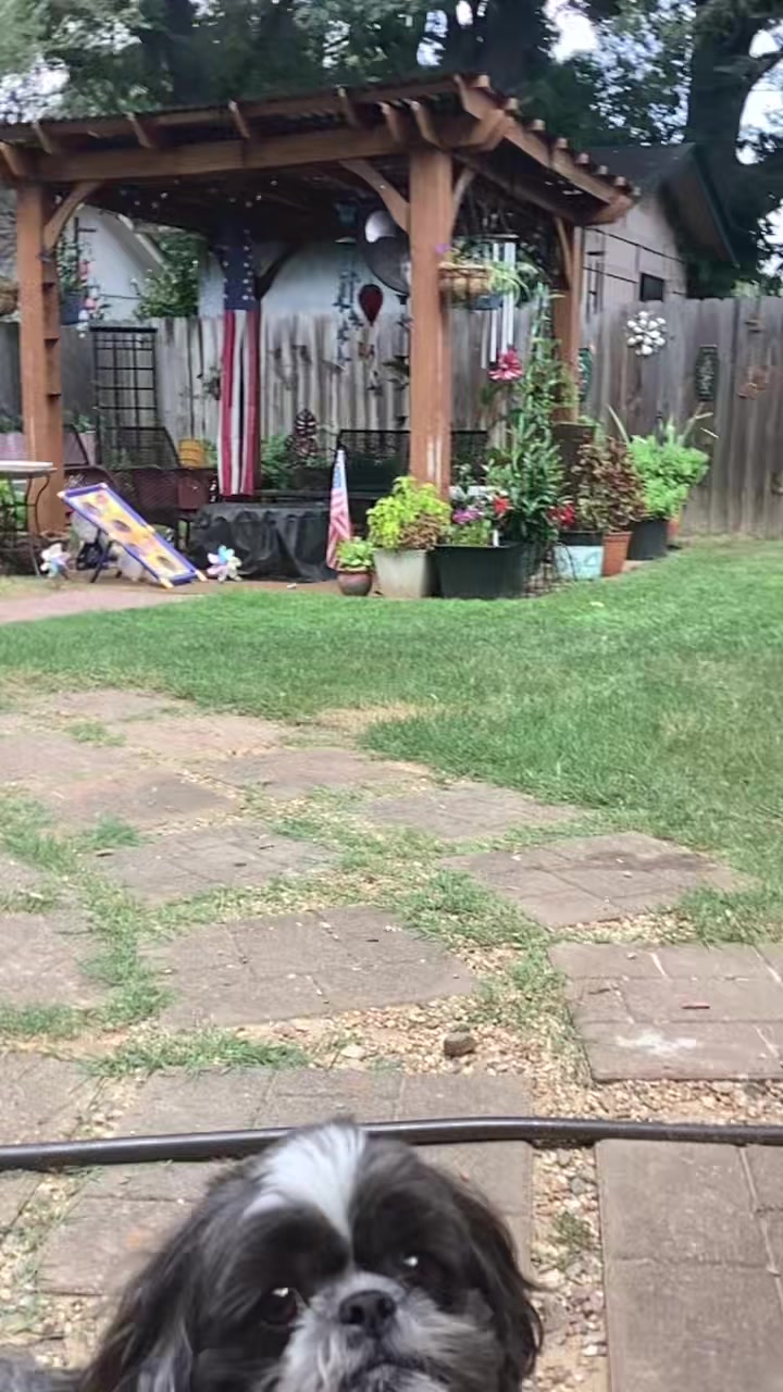 @tristyn8454