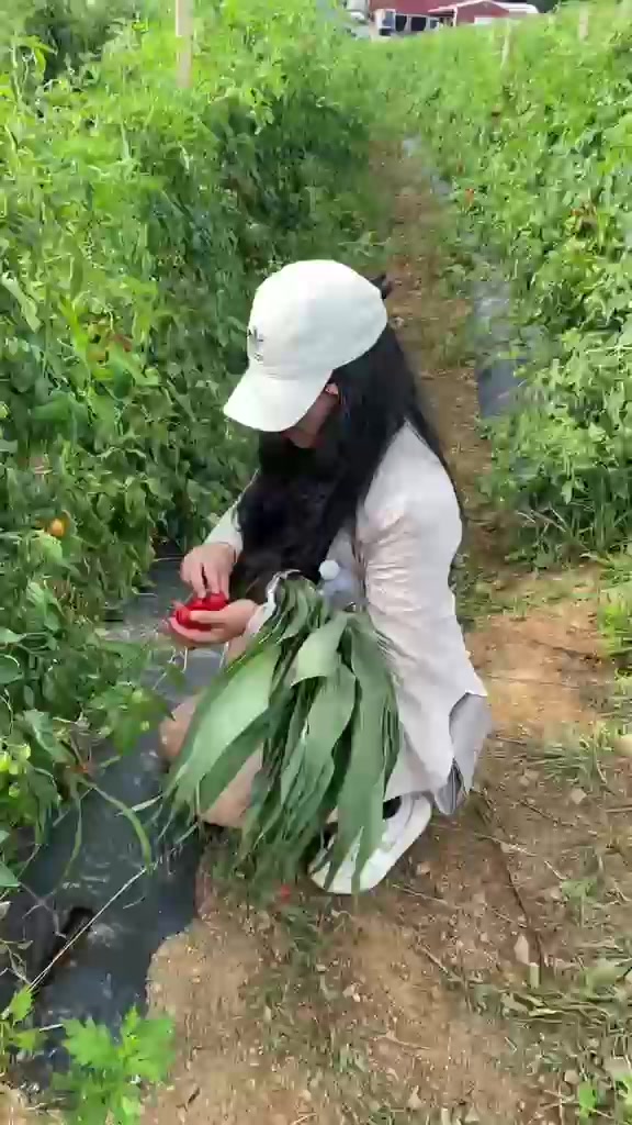 @Rossy Zuñiga