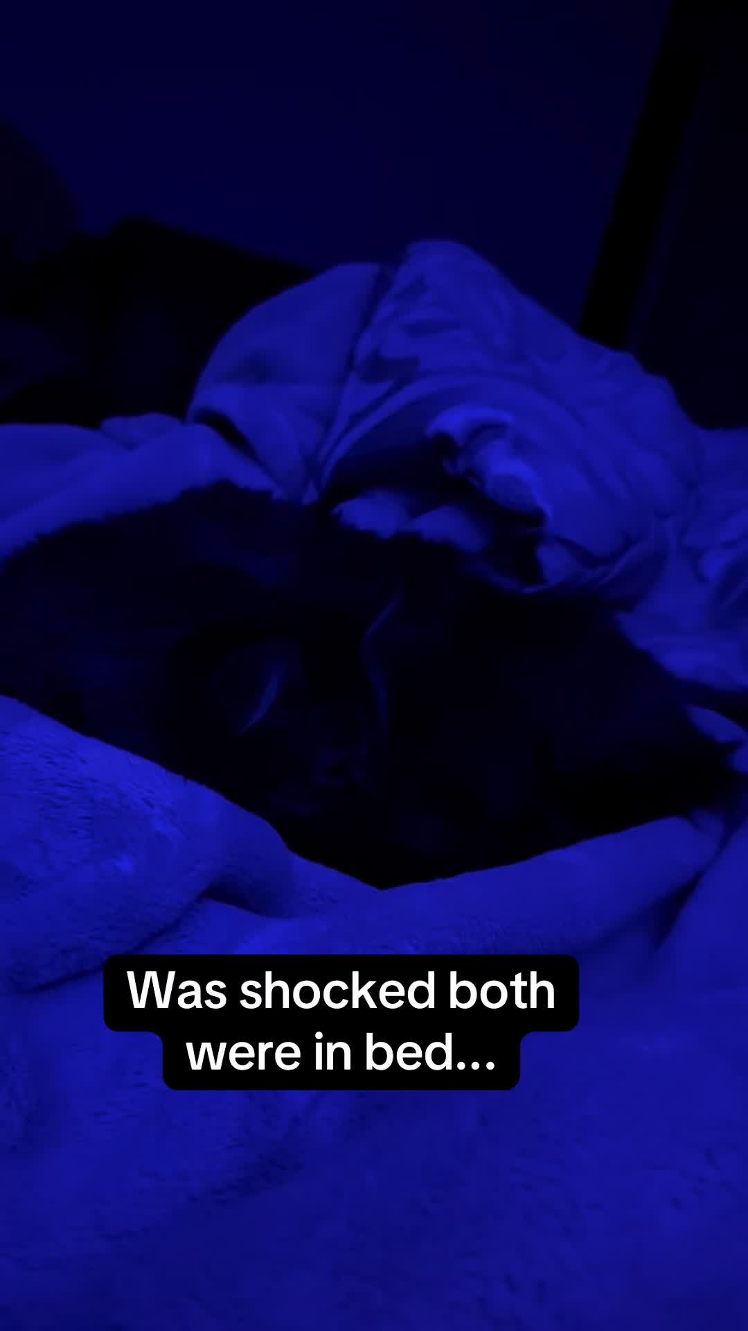 @RoxySnowballCatDrama