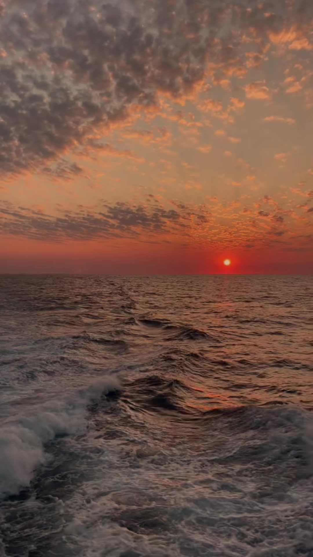 @👑Sara.princesa👑