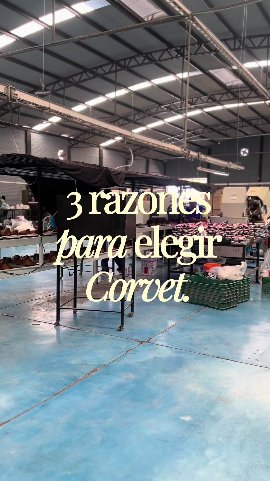 @Tenis Corvet