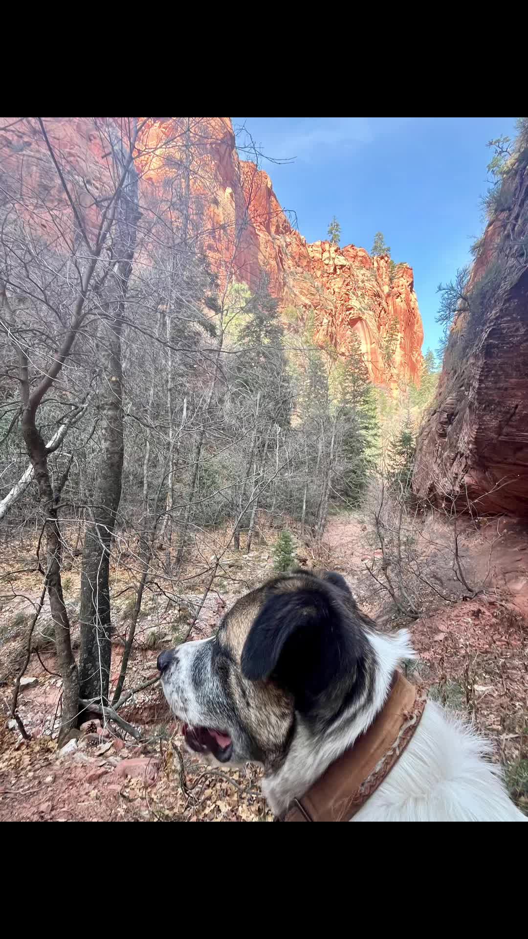 @GodPaintsHere