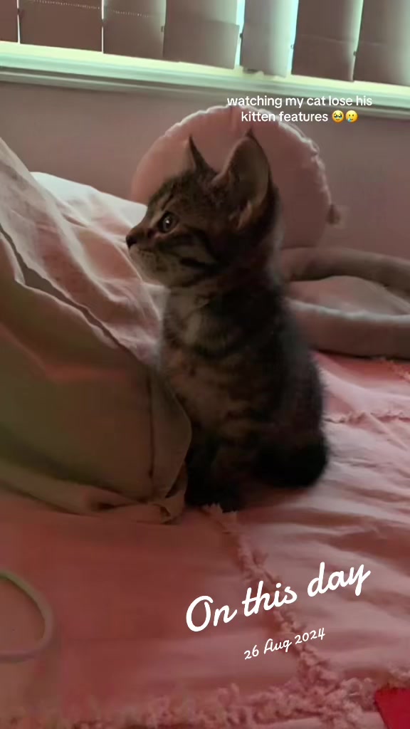@𝓢𝓽𝓮𝓿𝓲𝓮 ♡