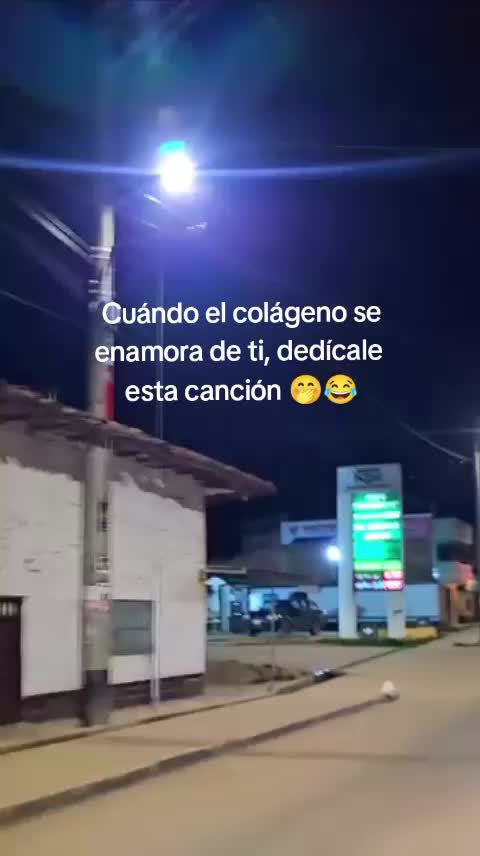 @Yakelin Garro 🤍