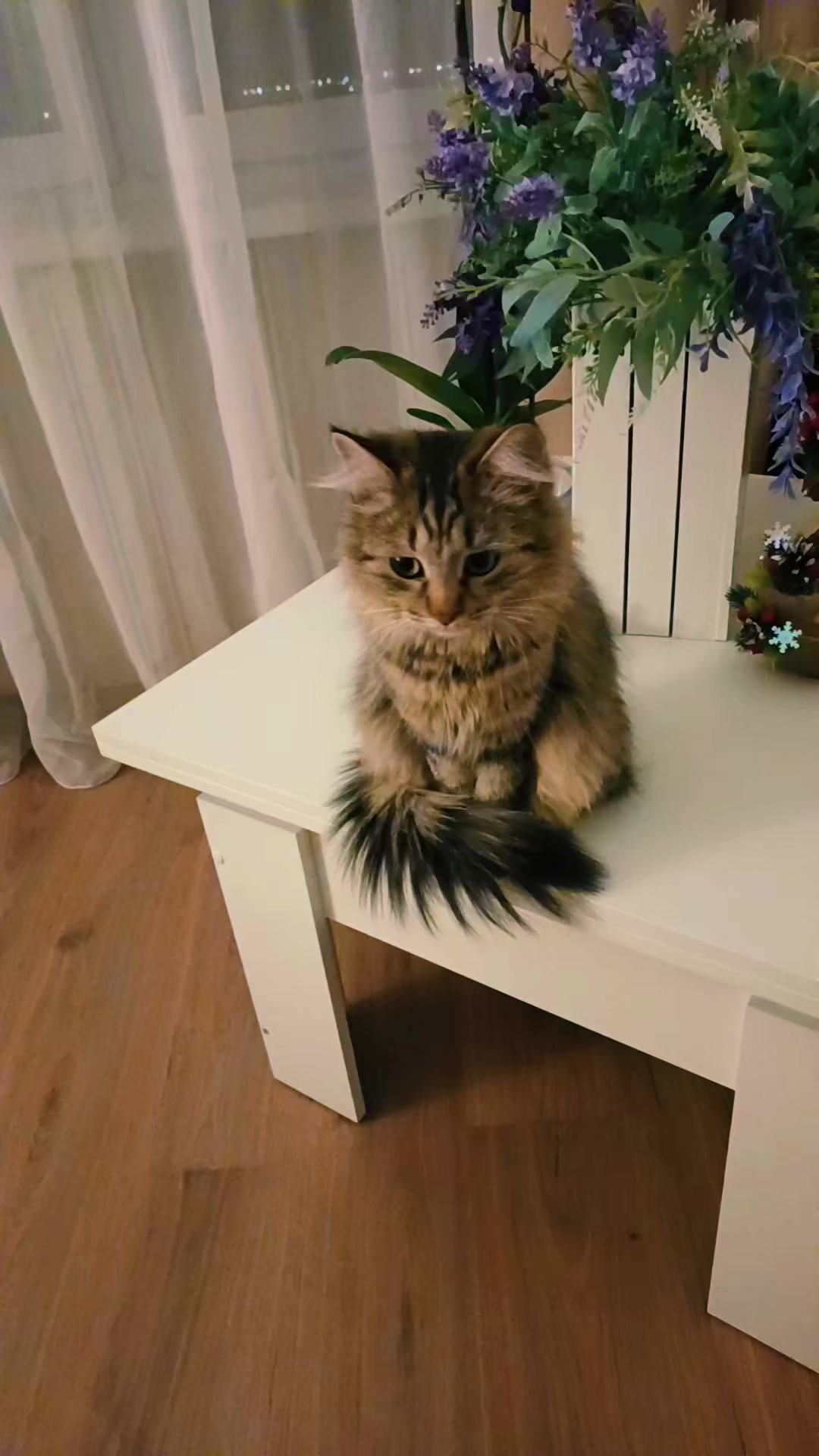 @ТАНЮШКА 🌺🌺