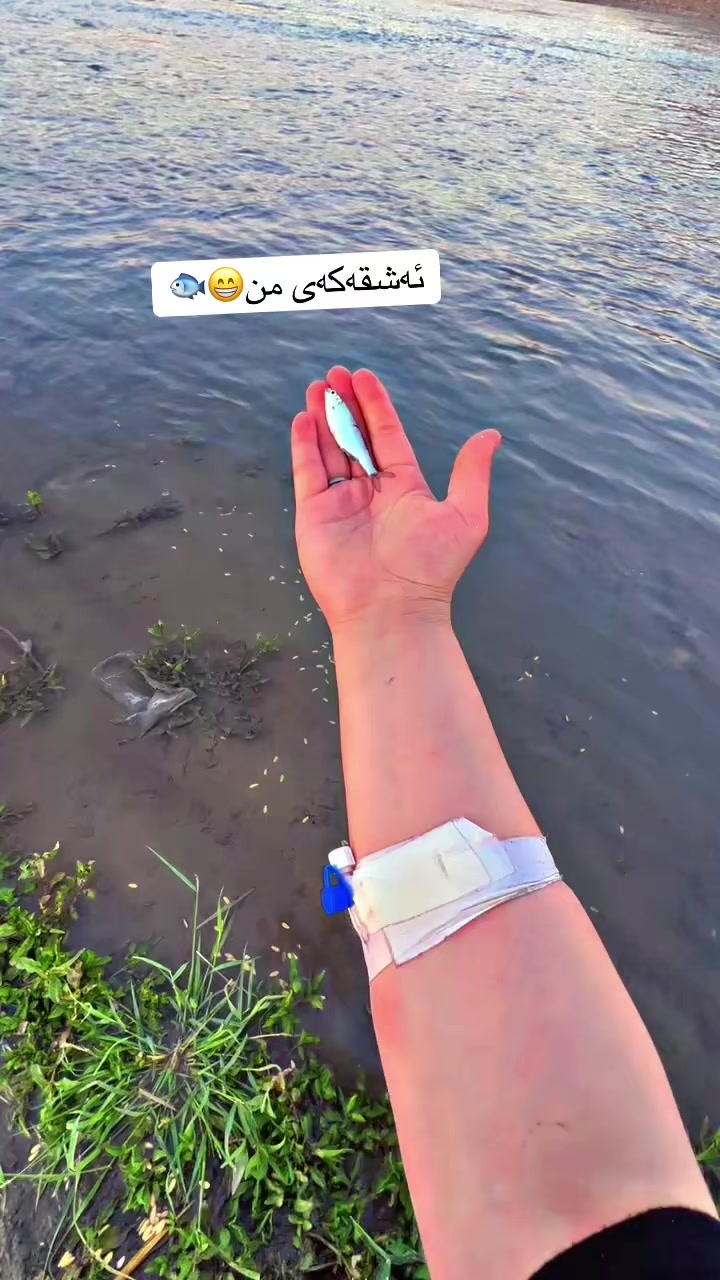 @Shiraz qaladzayنەوەی نوێ✌️🧡