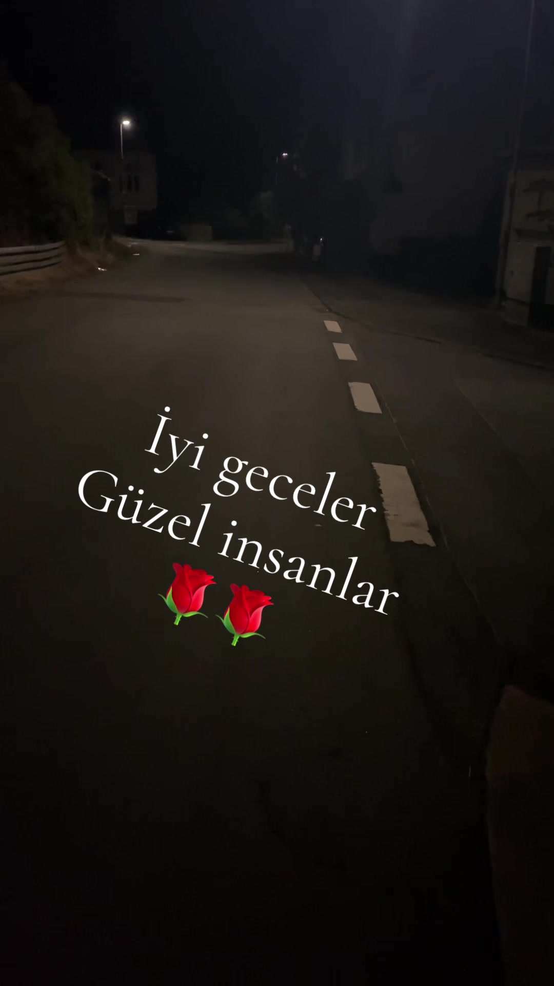 @🇹🇷Brad Gonyali Pitt🇩🇪