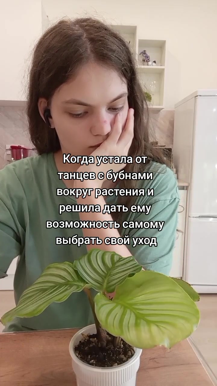 @mosungrass