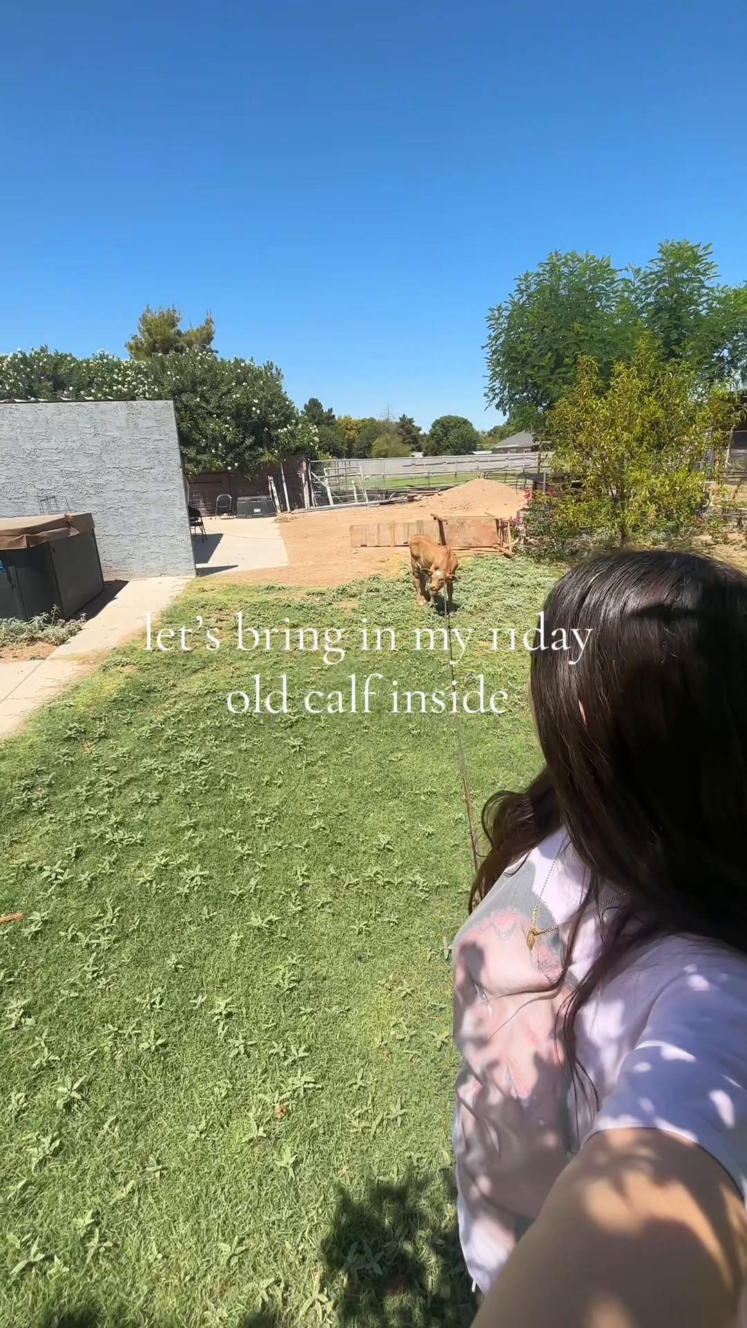 @Cruz