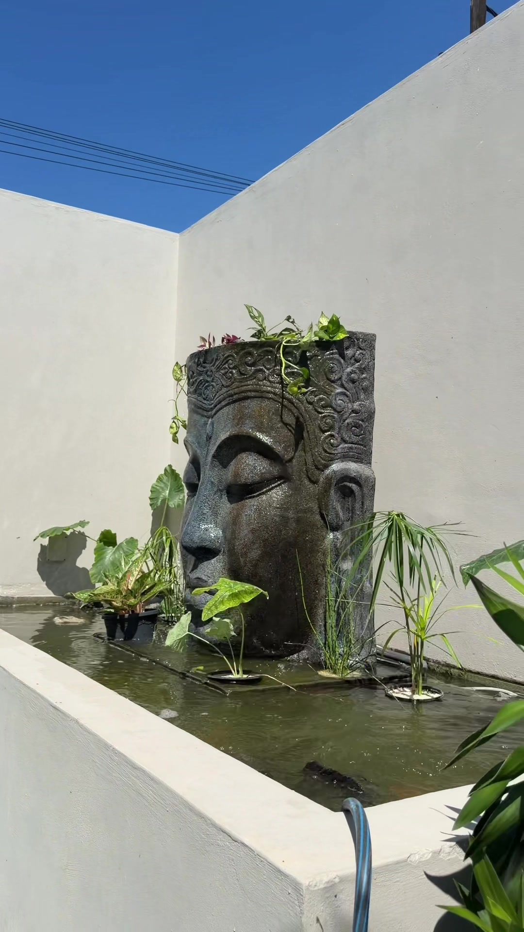 @YN Aquatics Ltd