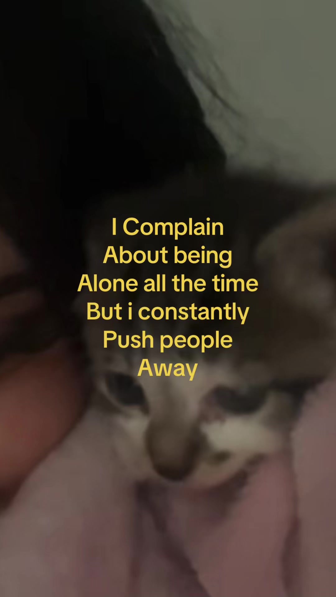 @thebitchnobodylikes