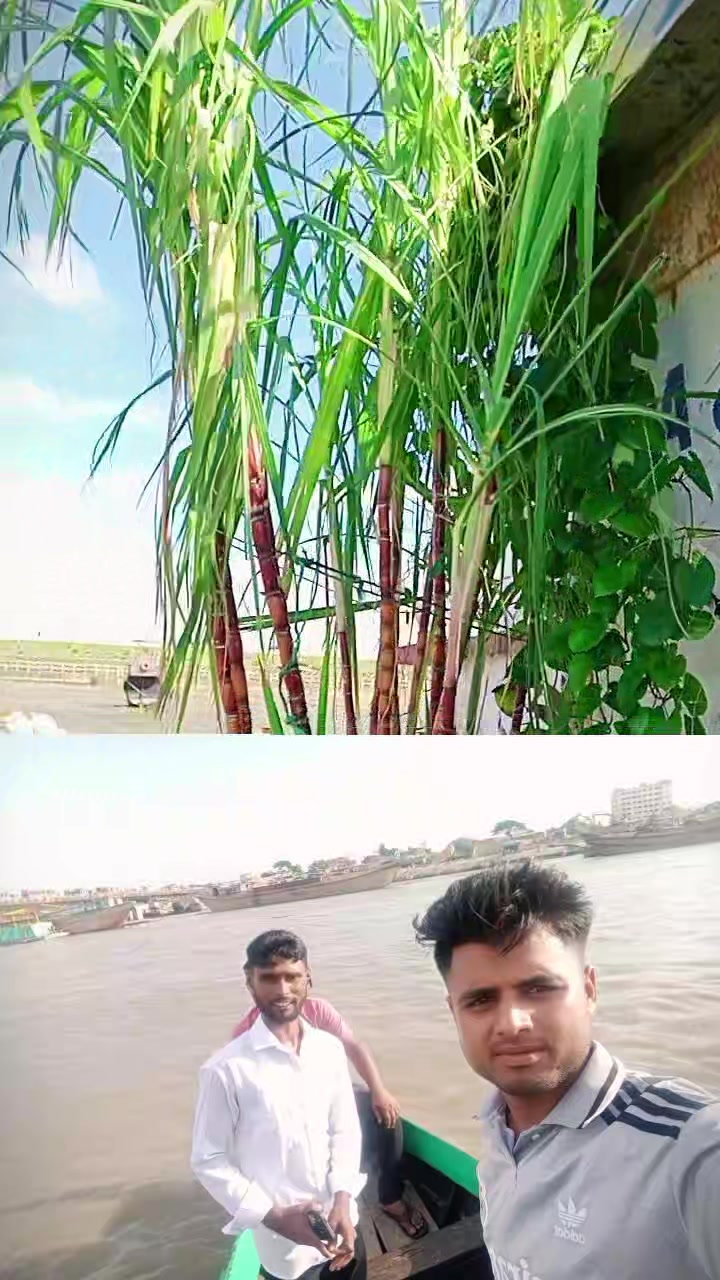 @Md Elias07