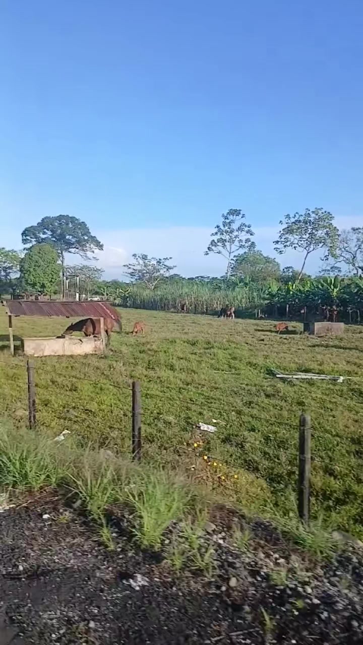 @Sofía
