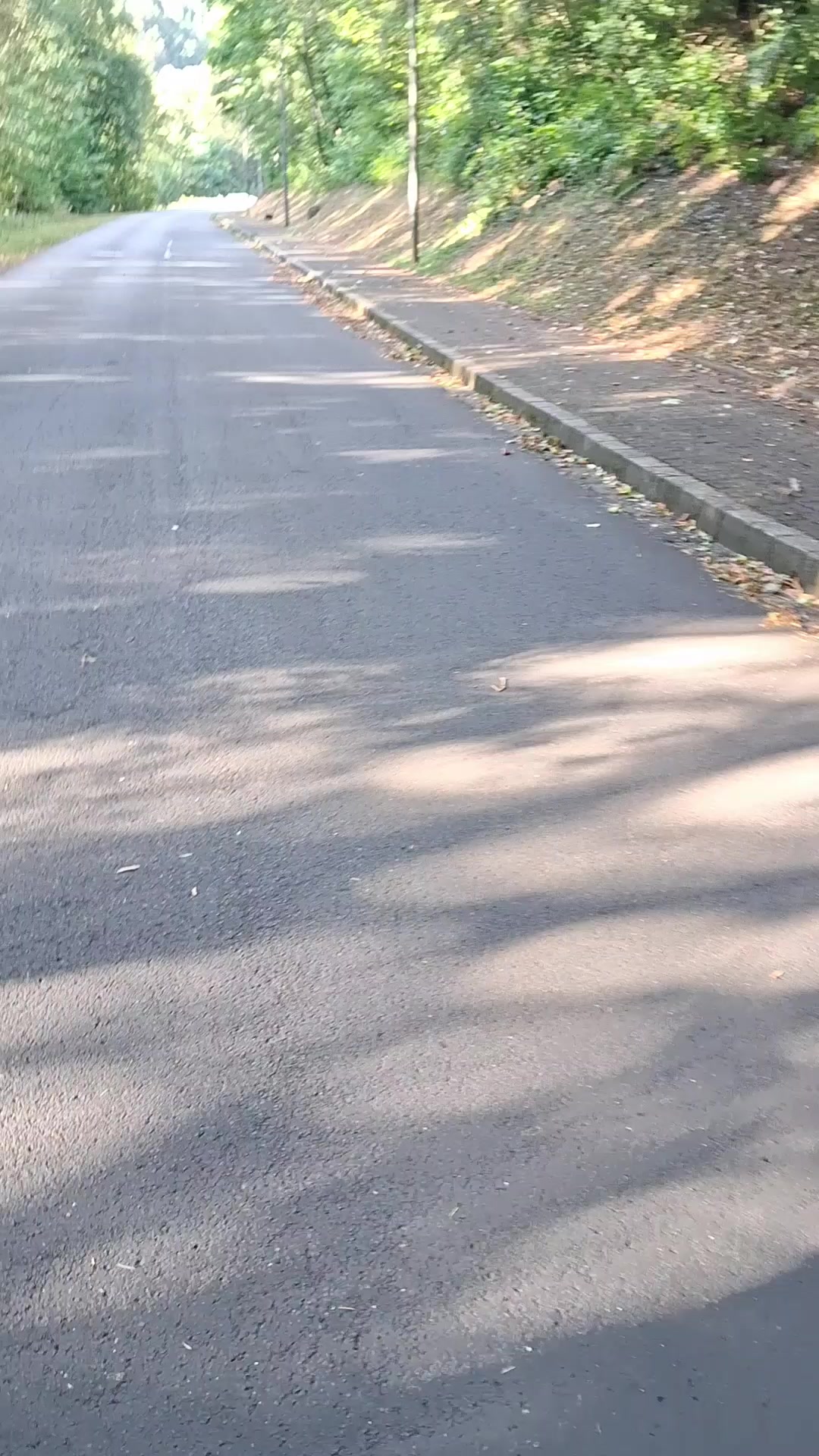 @e scooter videos