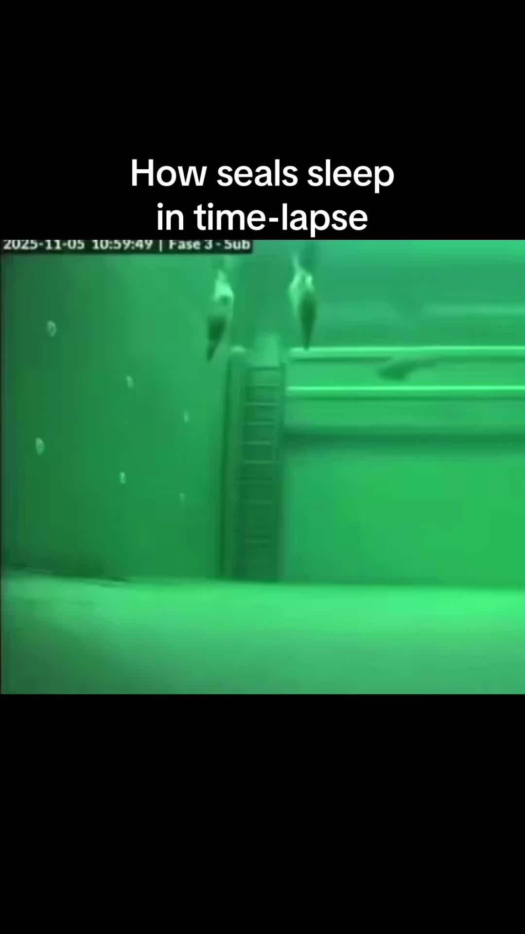 @i377610