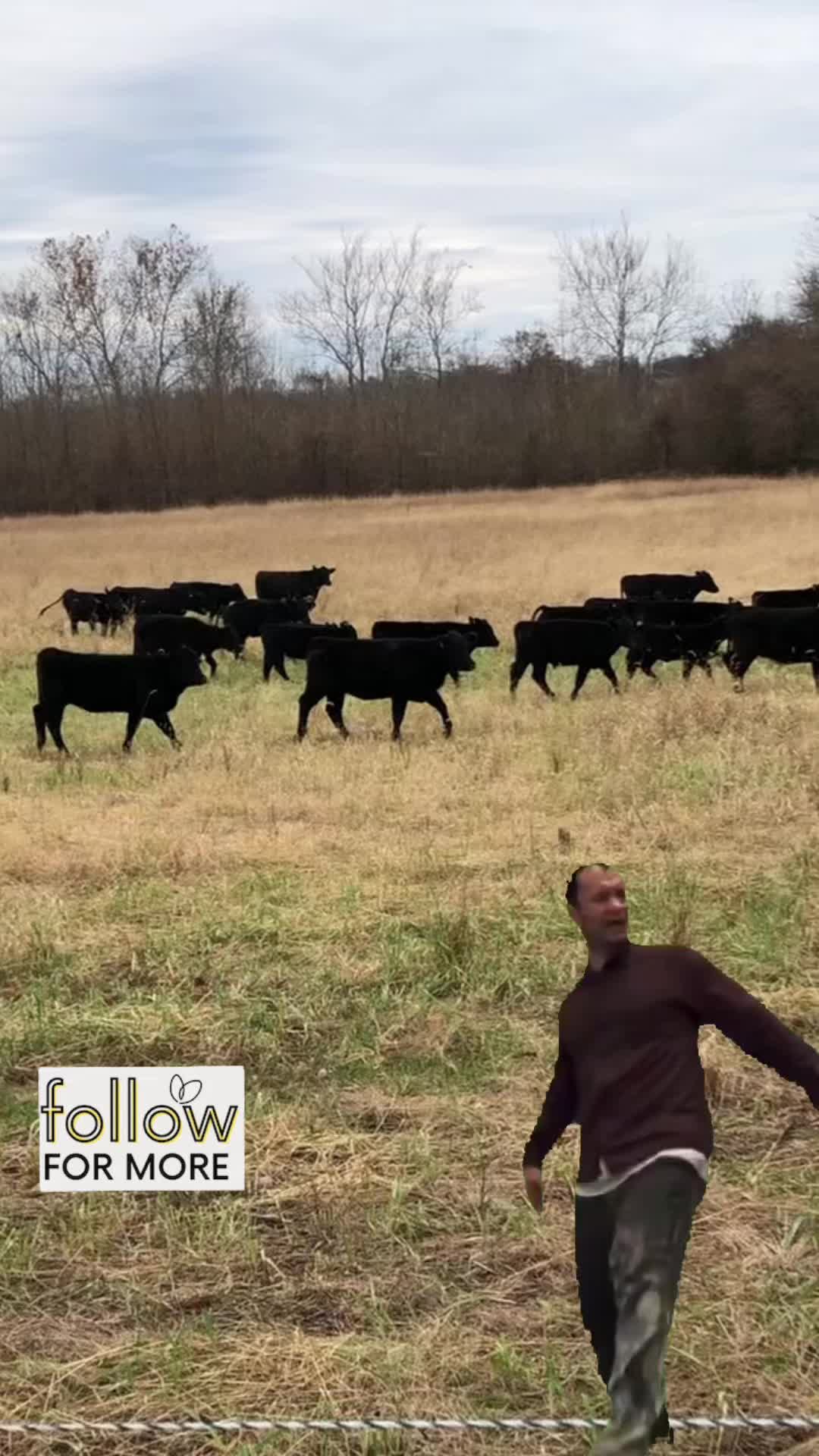 @jessica.wv.life