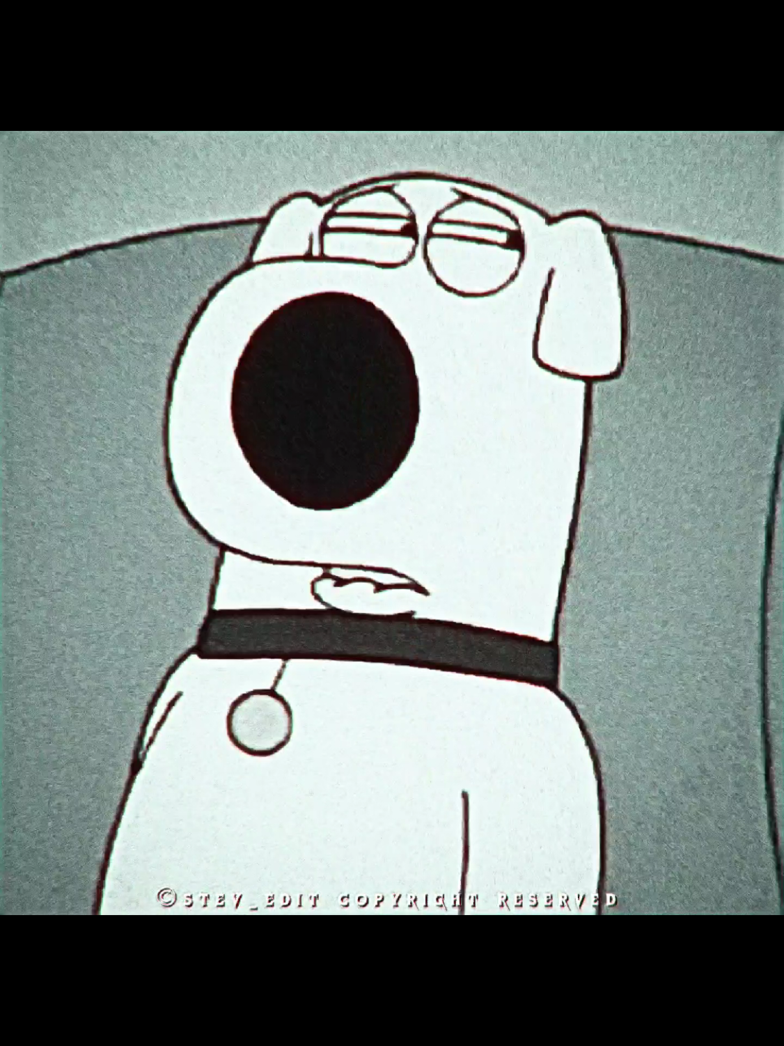 @𝑺𝑻𝑬𝑽_𝑬𝑫𝑰𝑻