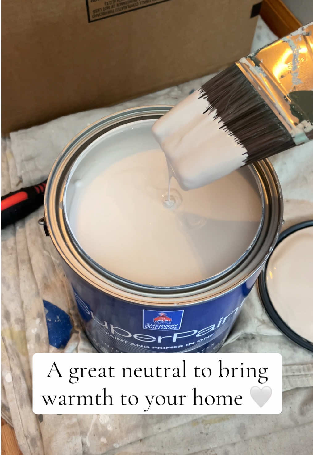 @Megan&rsquo;s Paintings 🖌️