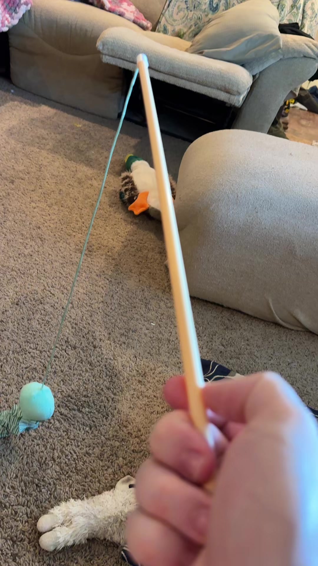 @Lexi
