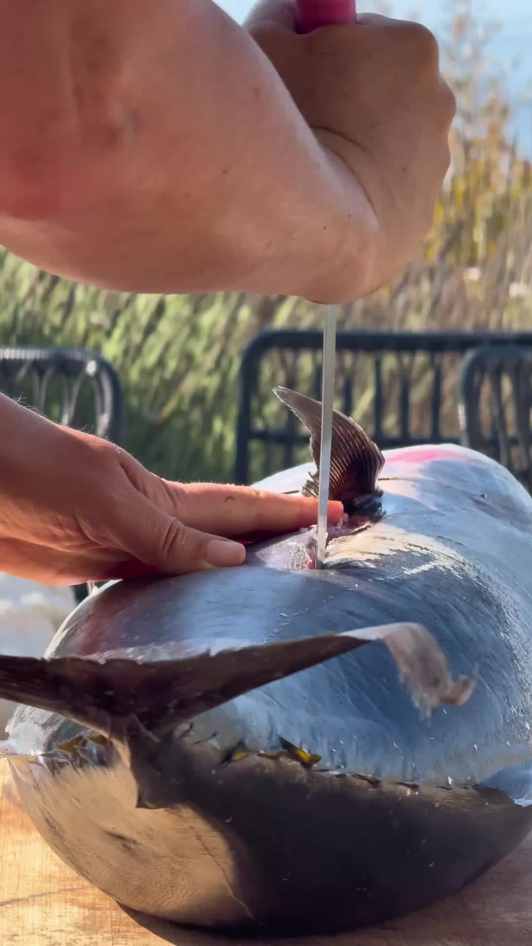 @anyafernaldcooks