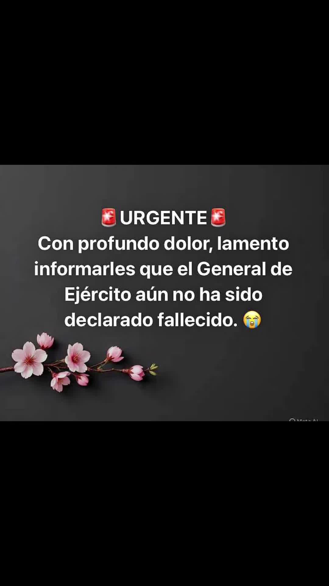@katiafuentestrevi7🇨🇺