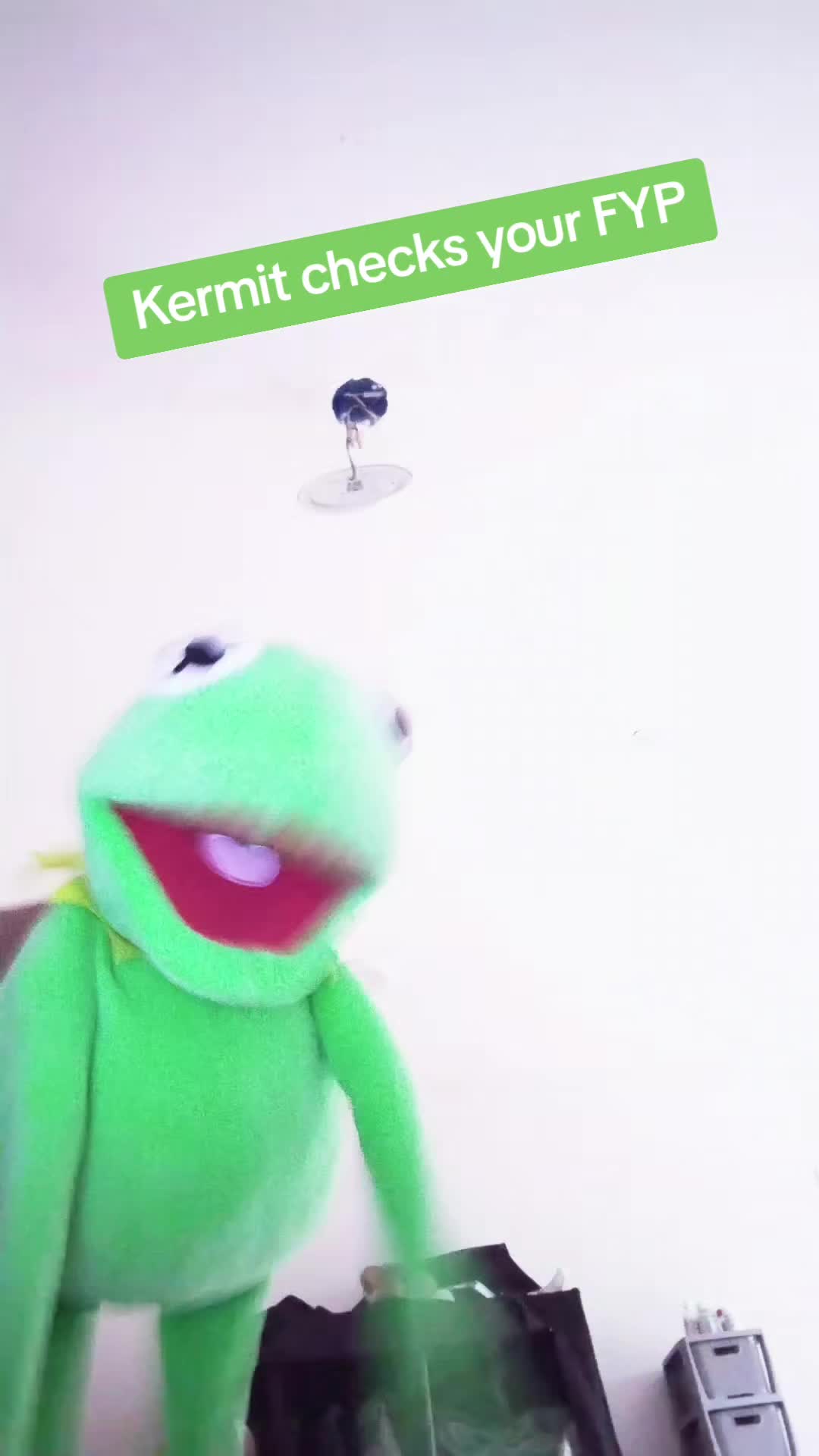 @Kermit And Friends 2026