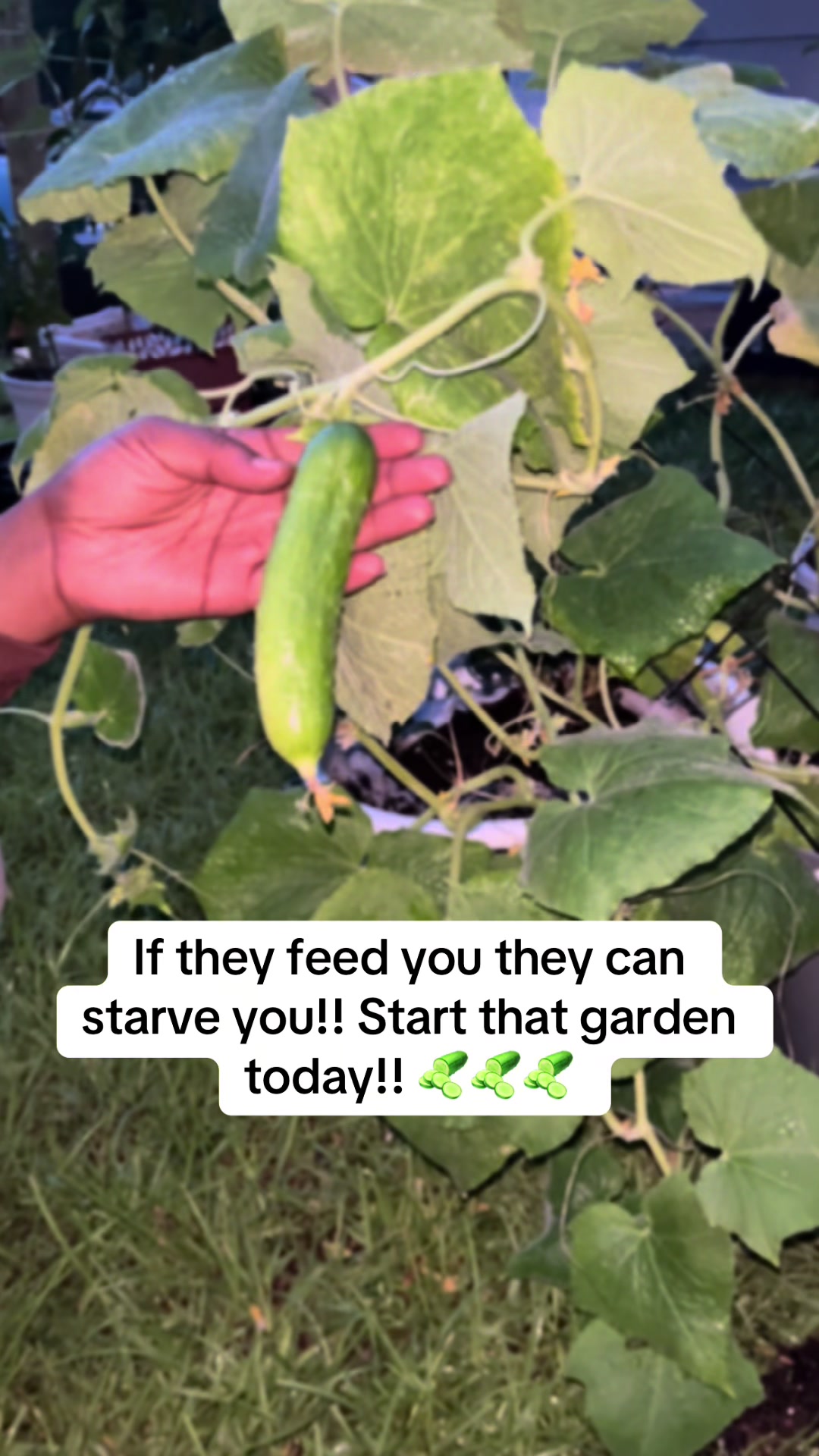 @The Natural Mommy 🌱