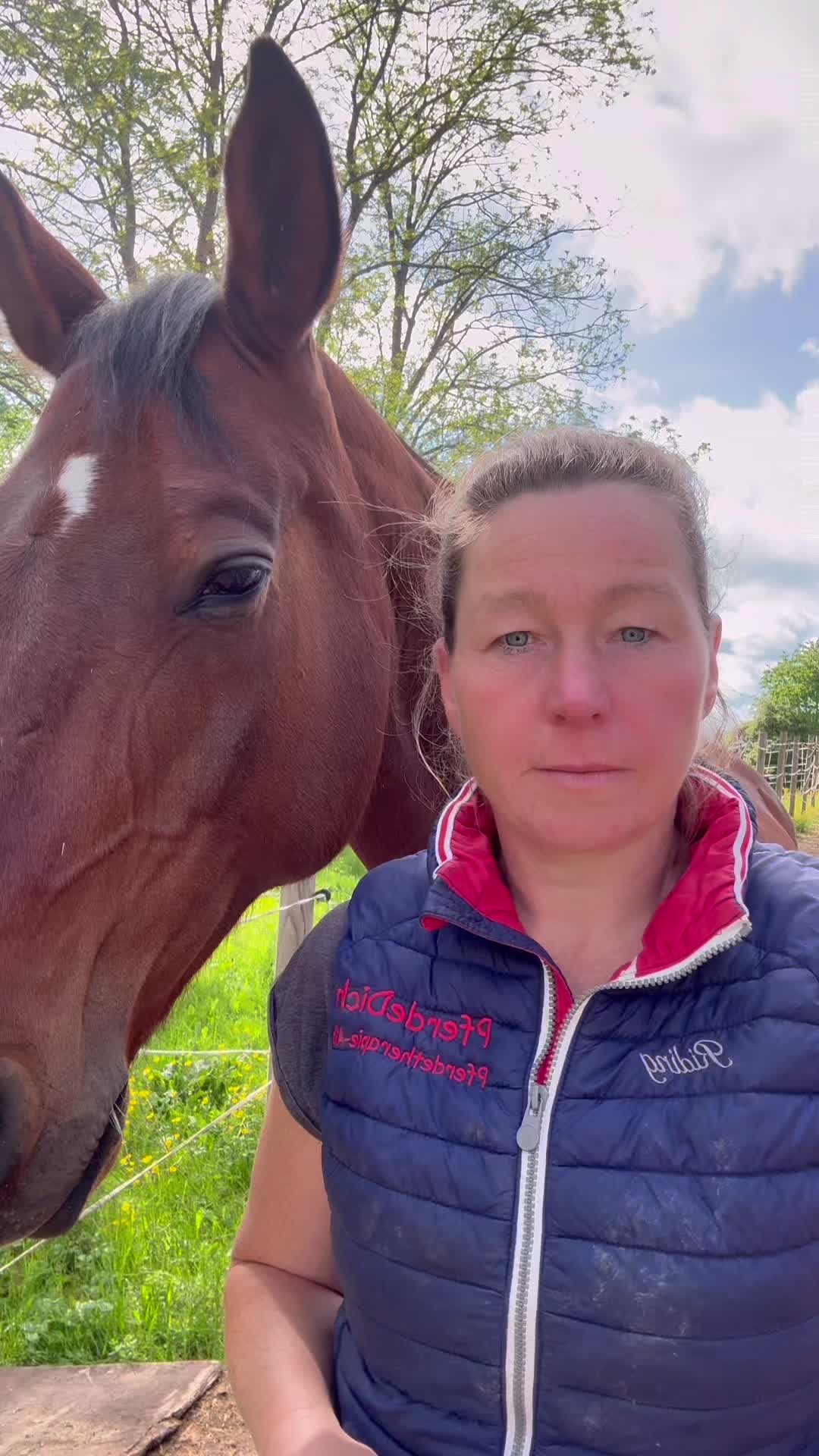 @equine_body_in_balance