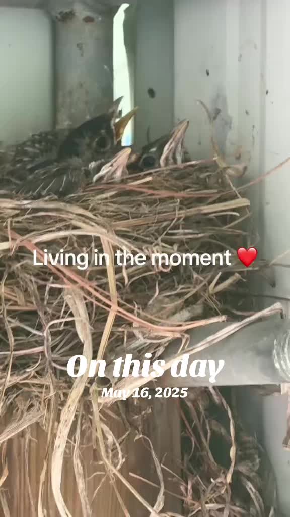 @jessica_livingmybestlife