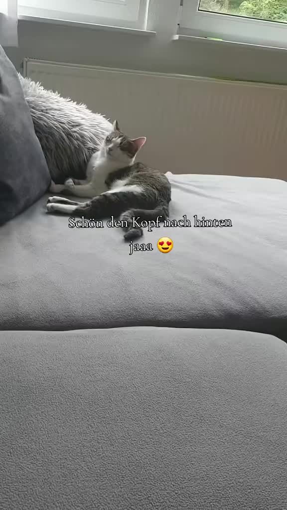 @Minnoş❤💙61