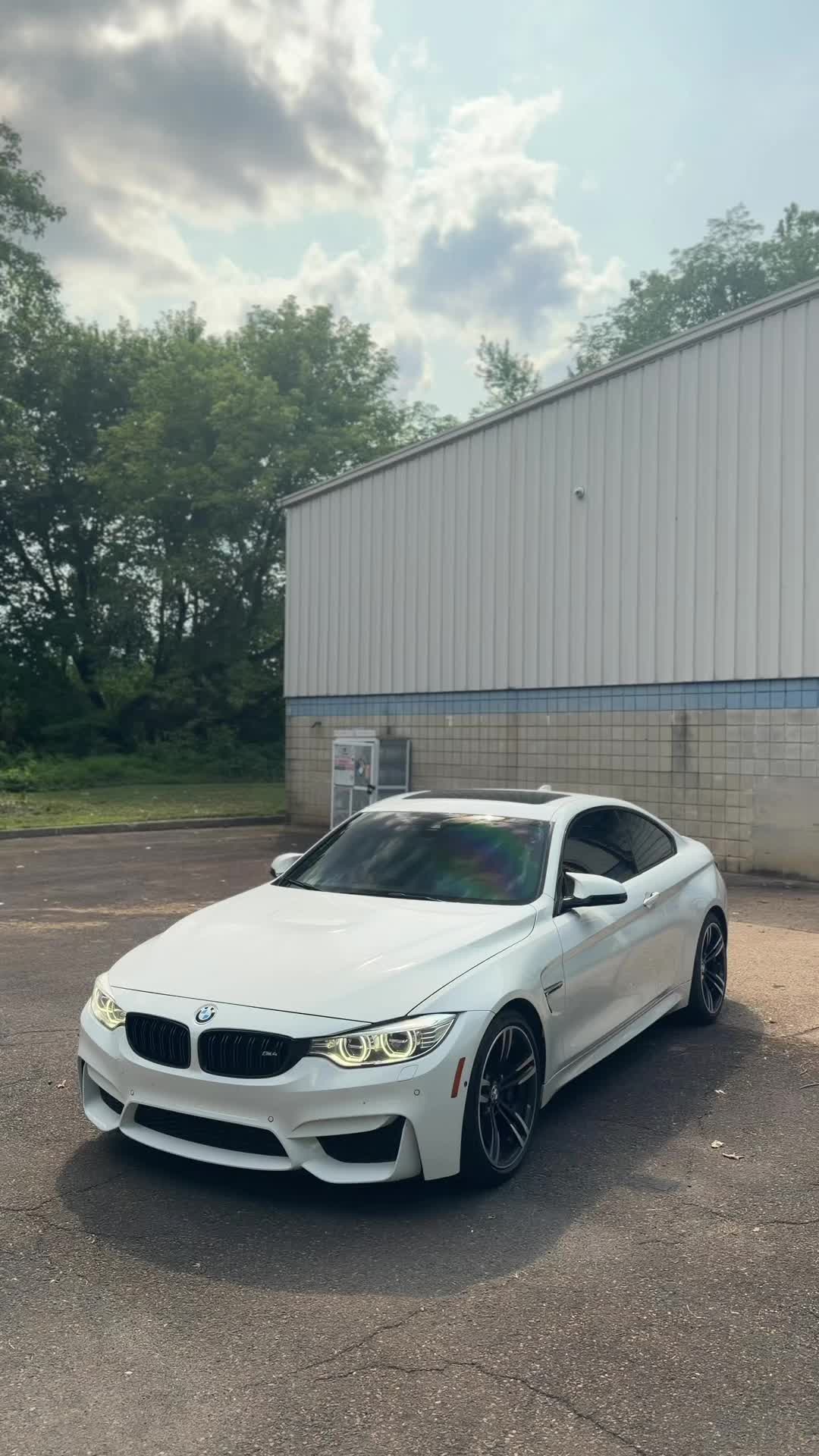 @alpinef8x