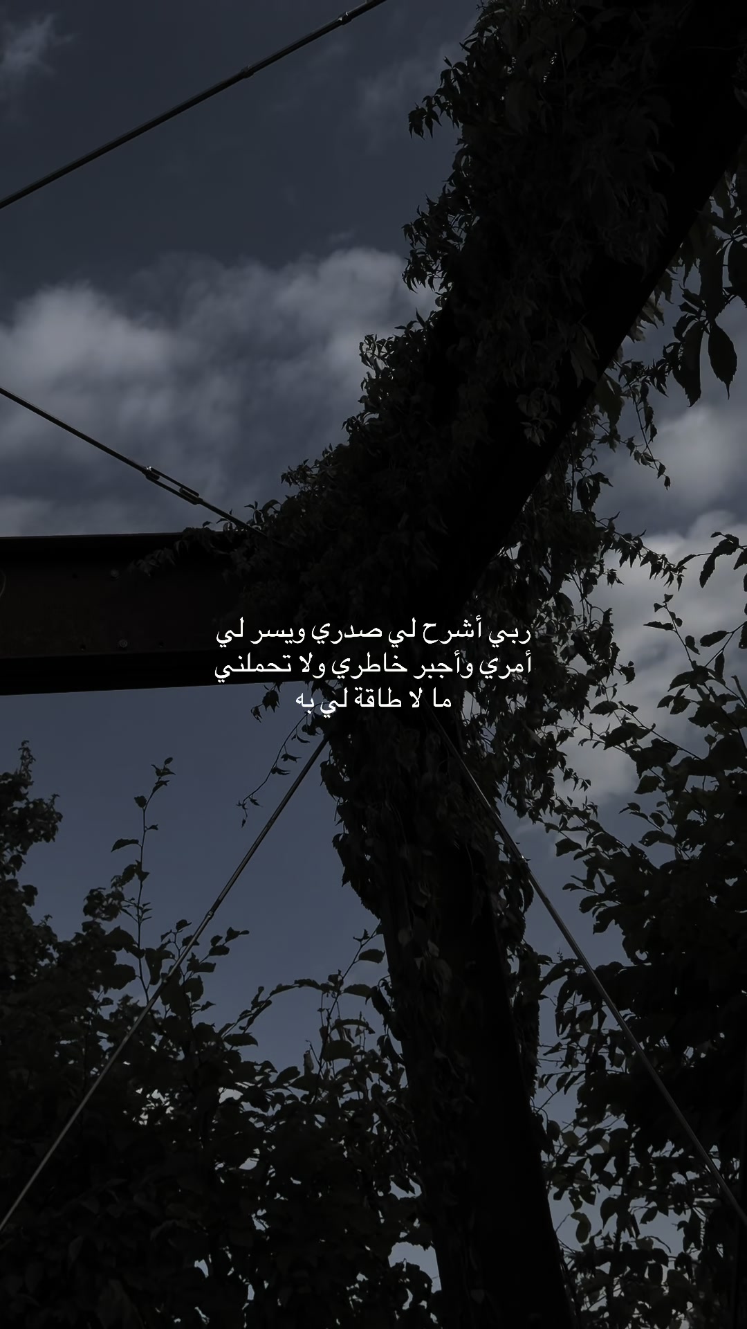 @هـٌ | 🤍