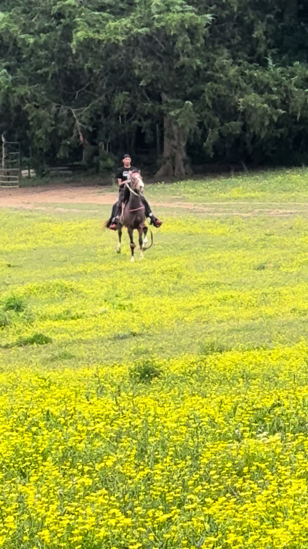 @CJ🧑🏽🌾