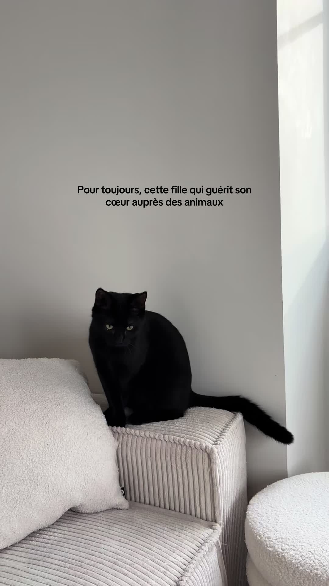 @𝖠𝖯𝖱𝖨𝖫 𝖠𝖱𝖨𝖠 𝖡𝖠𝖧𝖨𝖠