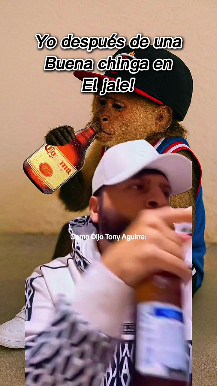 @JIbarra