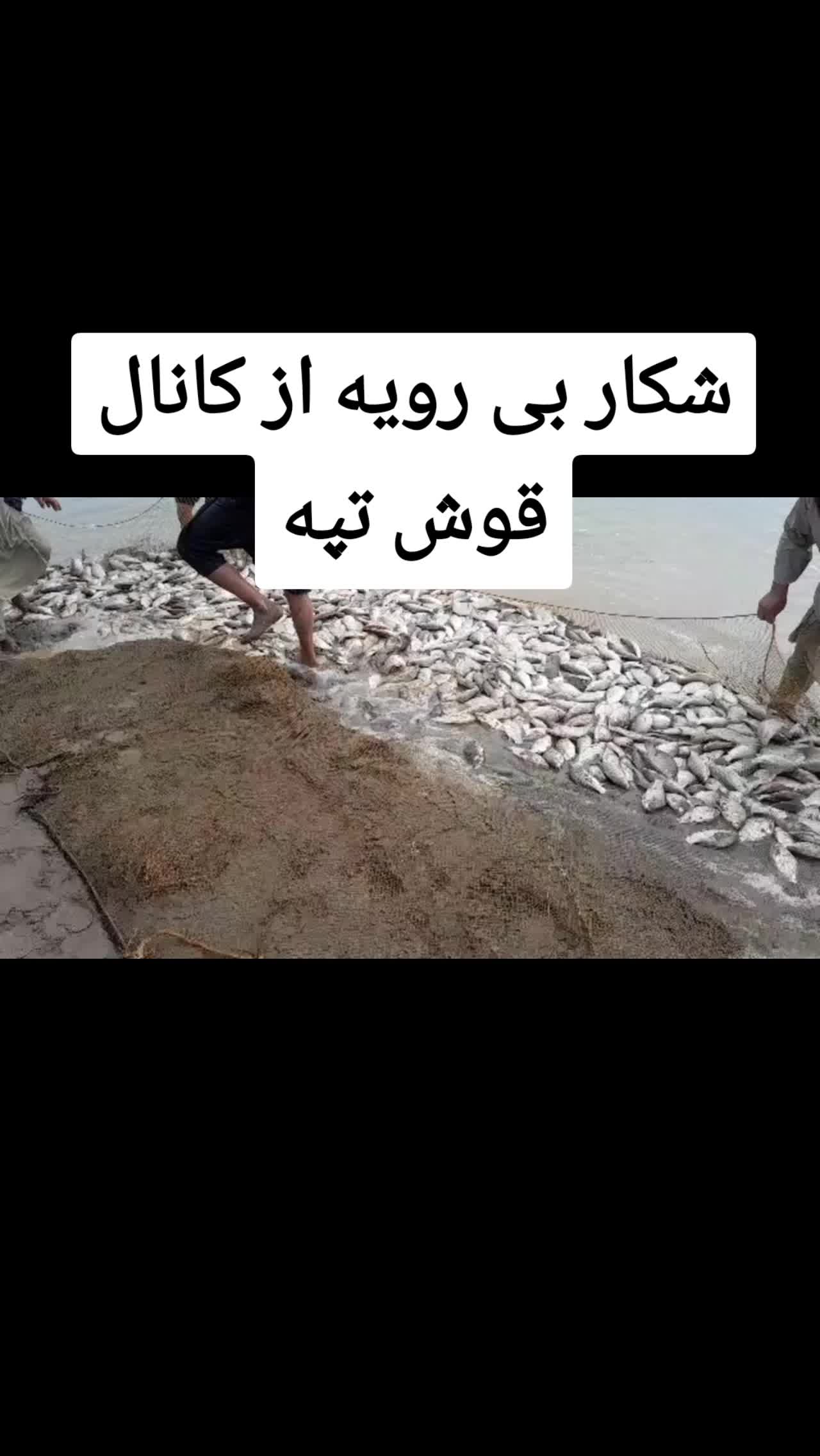 @Mateen Positive