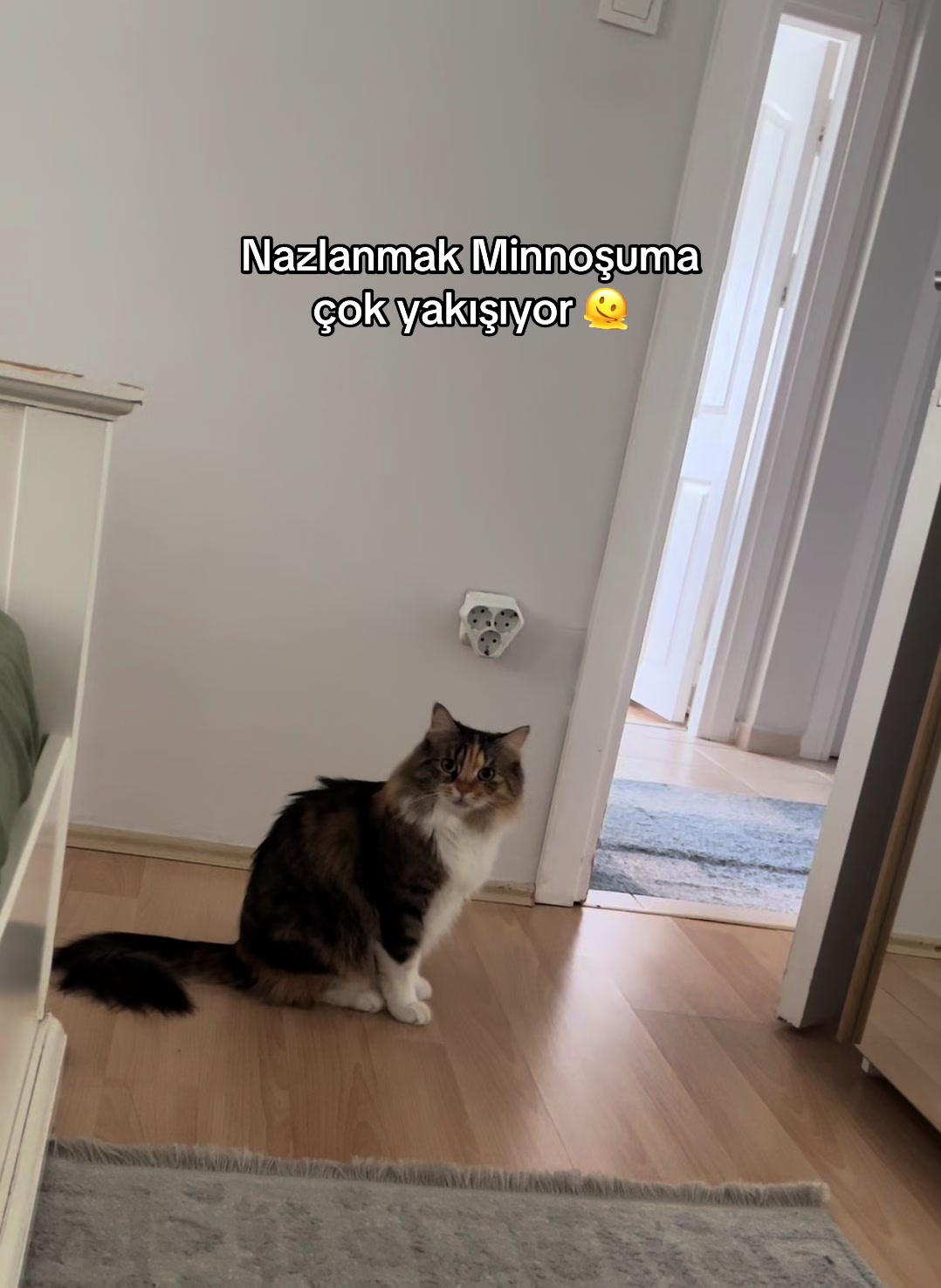 @konusankediminnos