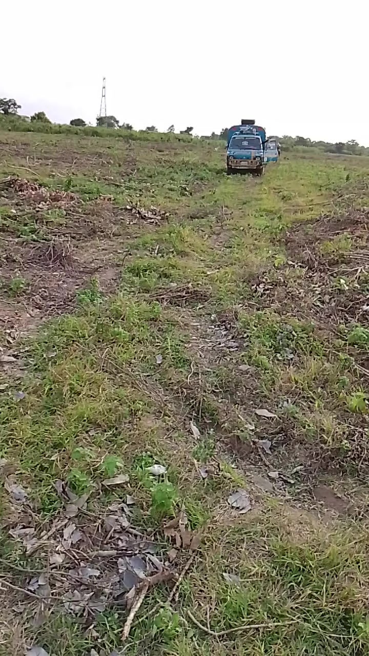 @isquady