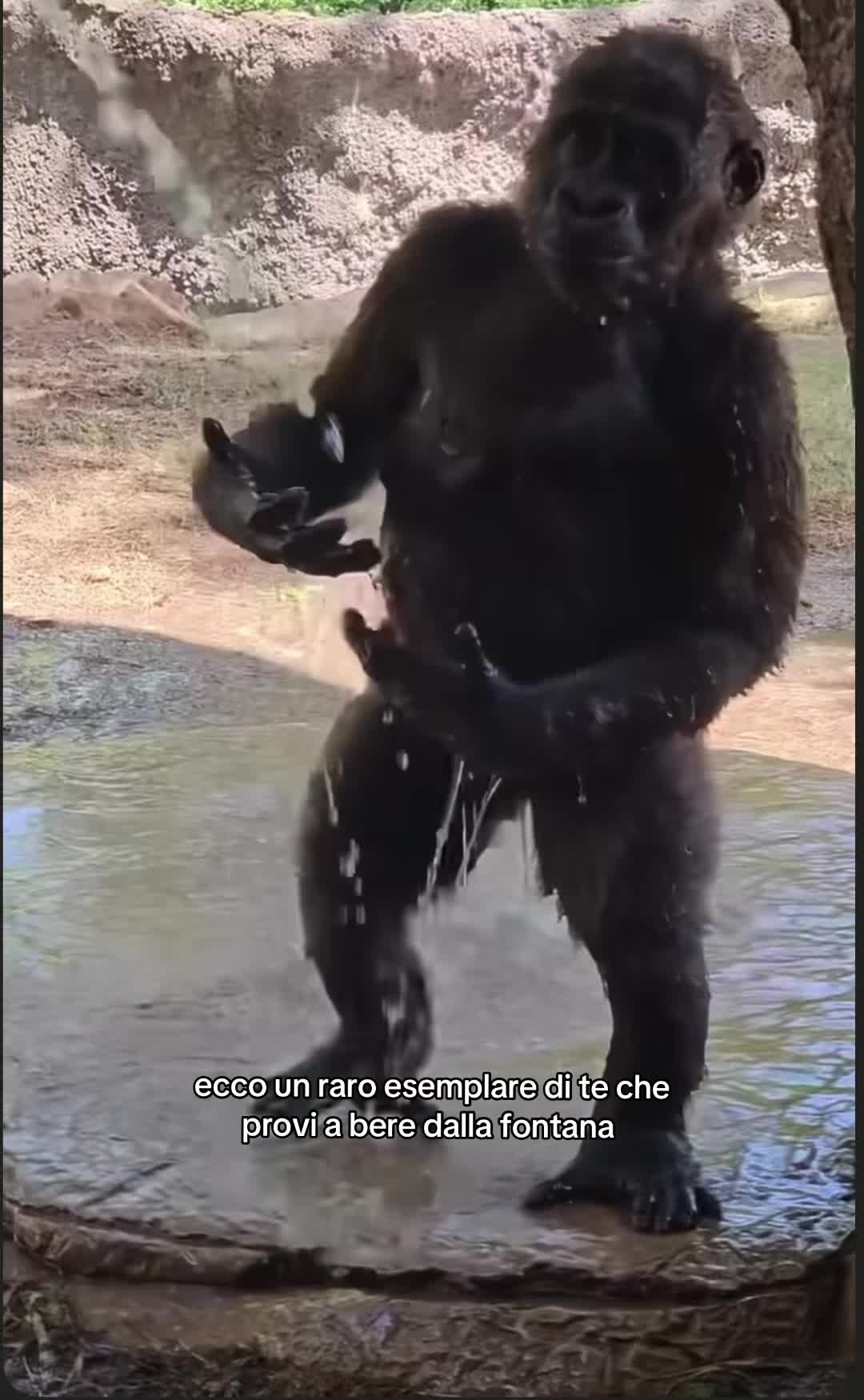 @secret