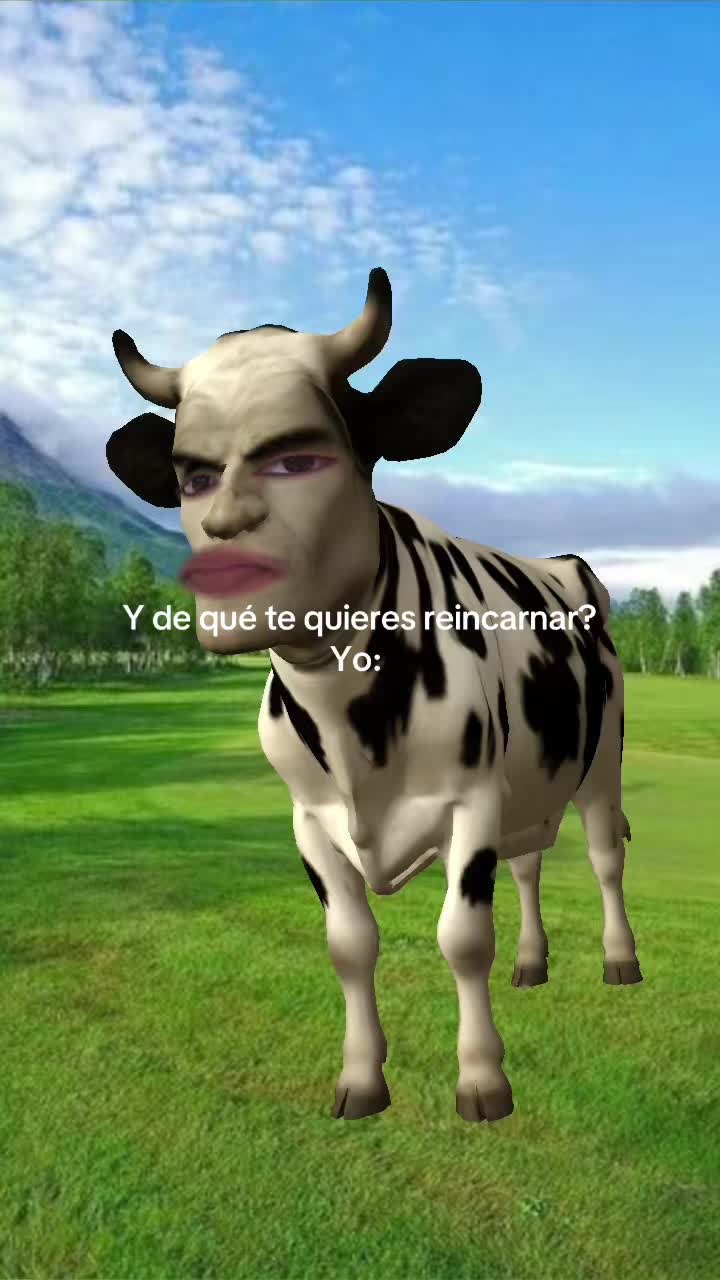 @pinchespulgas