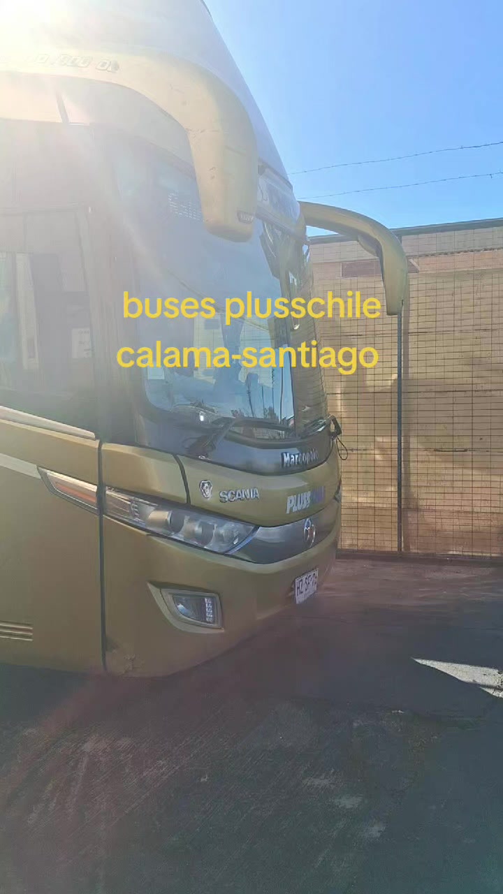 @Busología renato 😎