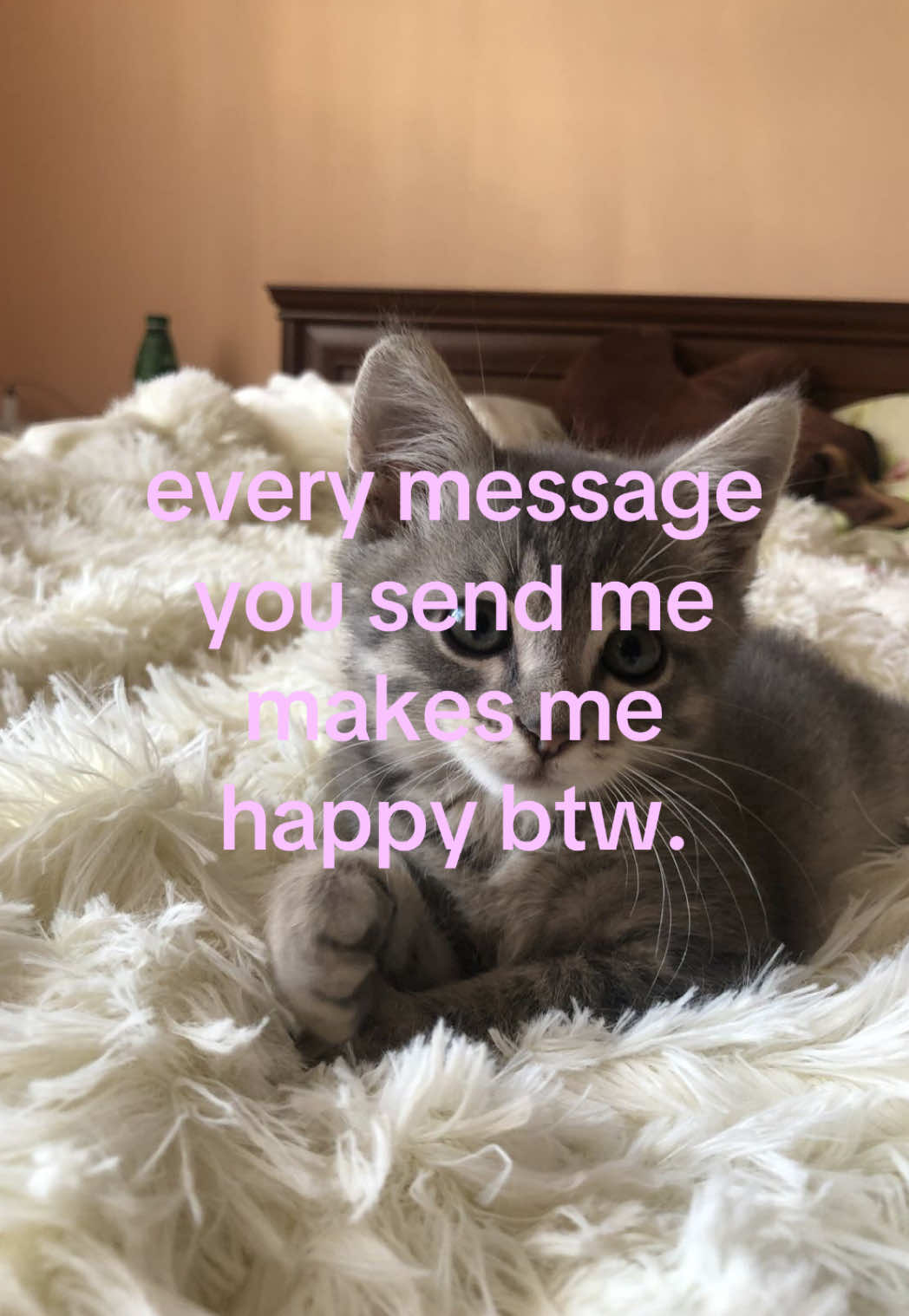 @caughtafeeling