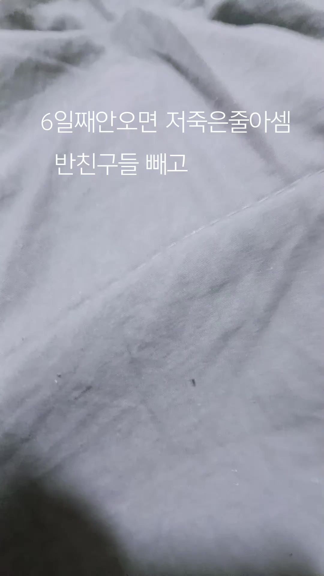 @코닉세그
