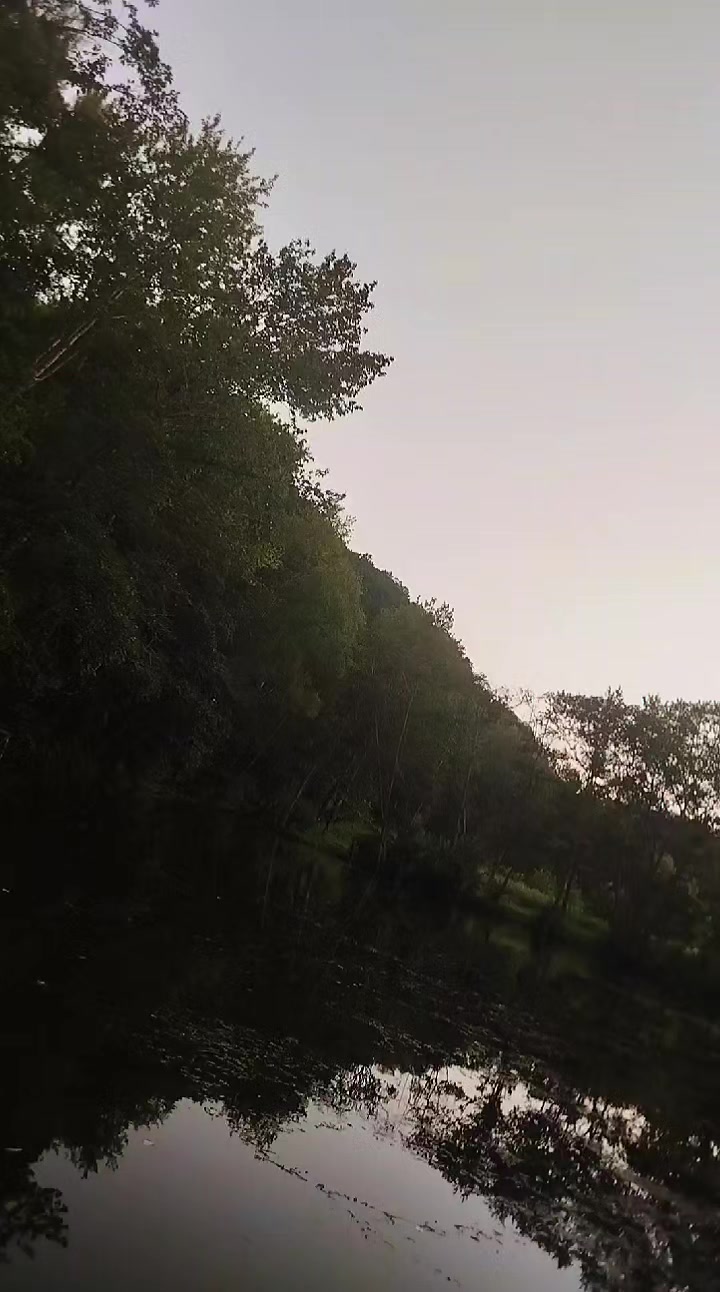 @Лиса